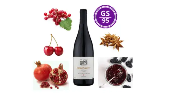 <B>Petr Kočařík - Novosady - Pinot Noir 2019, suché zemské </B><BR> 2. nejlepší Pinot noir Česka