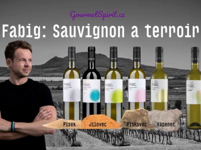 Fabigův Sauvignon blanc a terroir - Roman Fabig