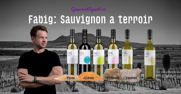 Fabigův Sauvignon blanc a terroir - Roman Fabig