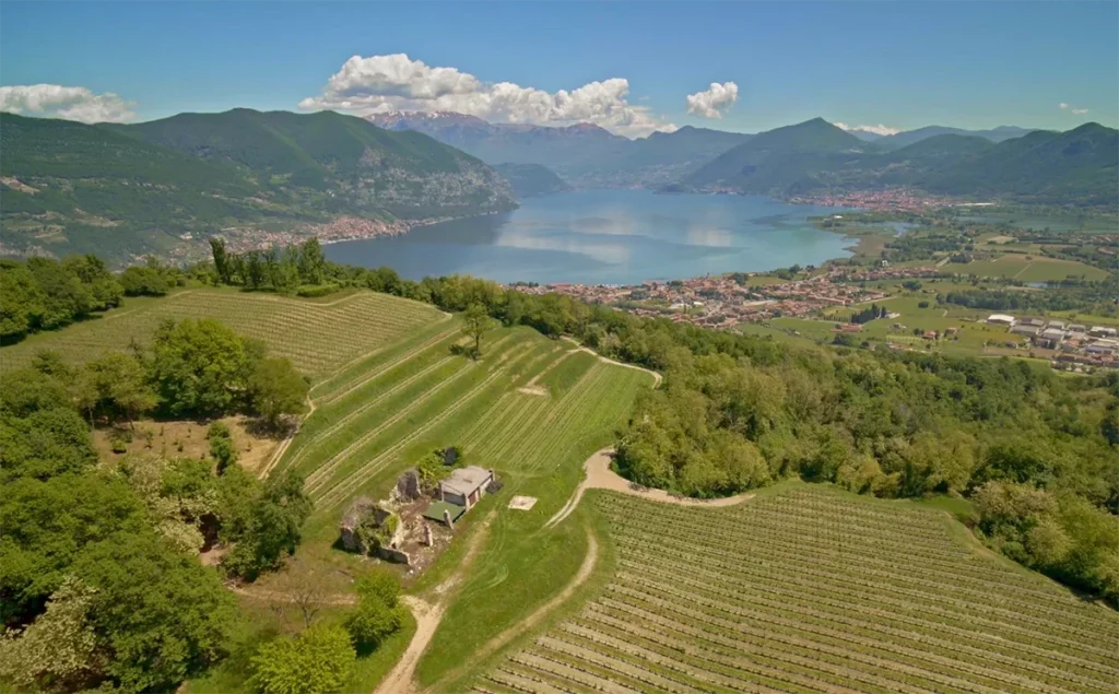 Ca del Bosco a jejich špičkové vinice kolem jezere Iseo