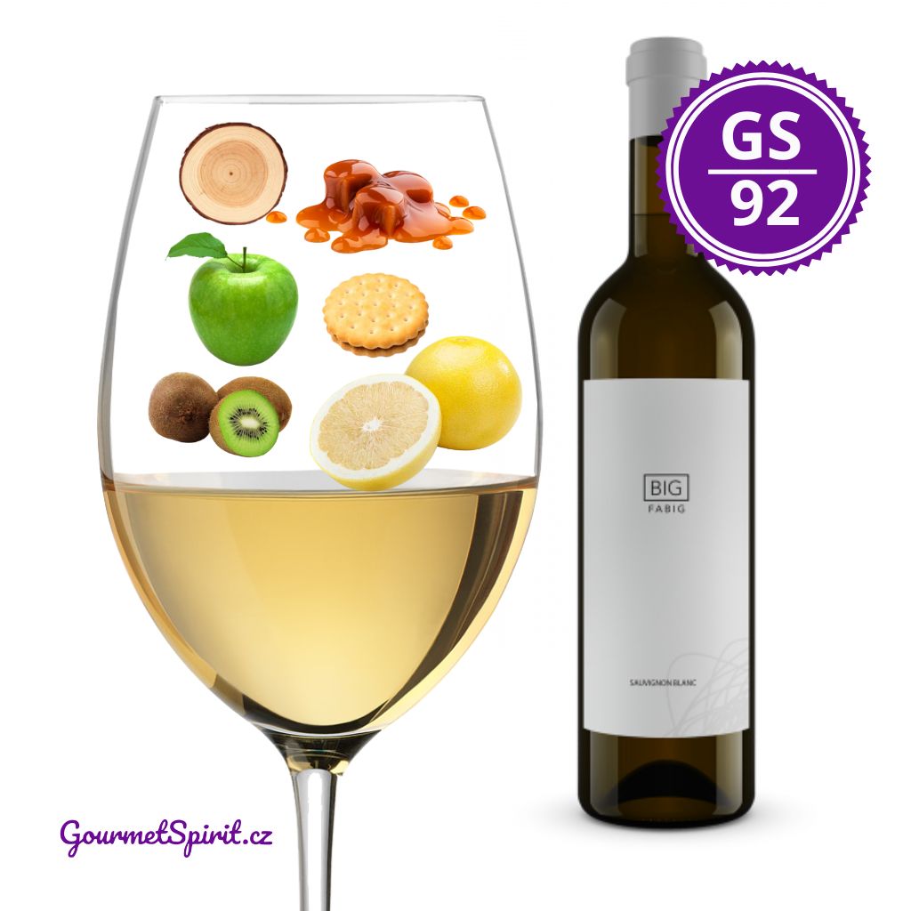 fabig big sauvignon blanc 2017